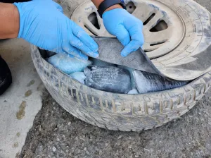 CBP Officers Seize 71 Pounds of Blue Fentanyl Pills at Andrade Port of Entry